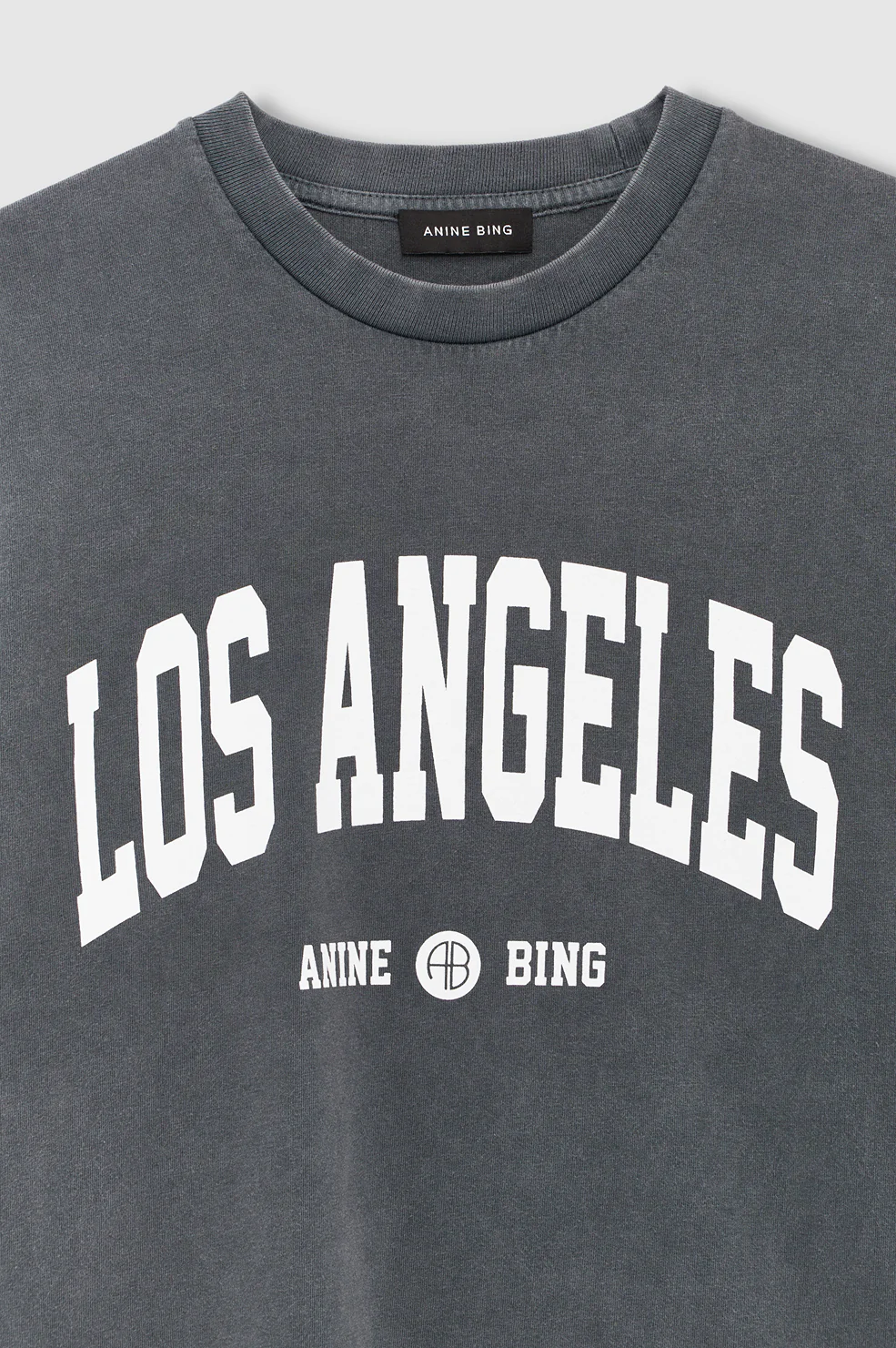 Cade Tee Los Angeles University - Washed Grey - Image 4